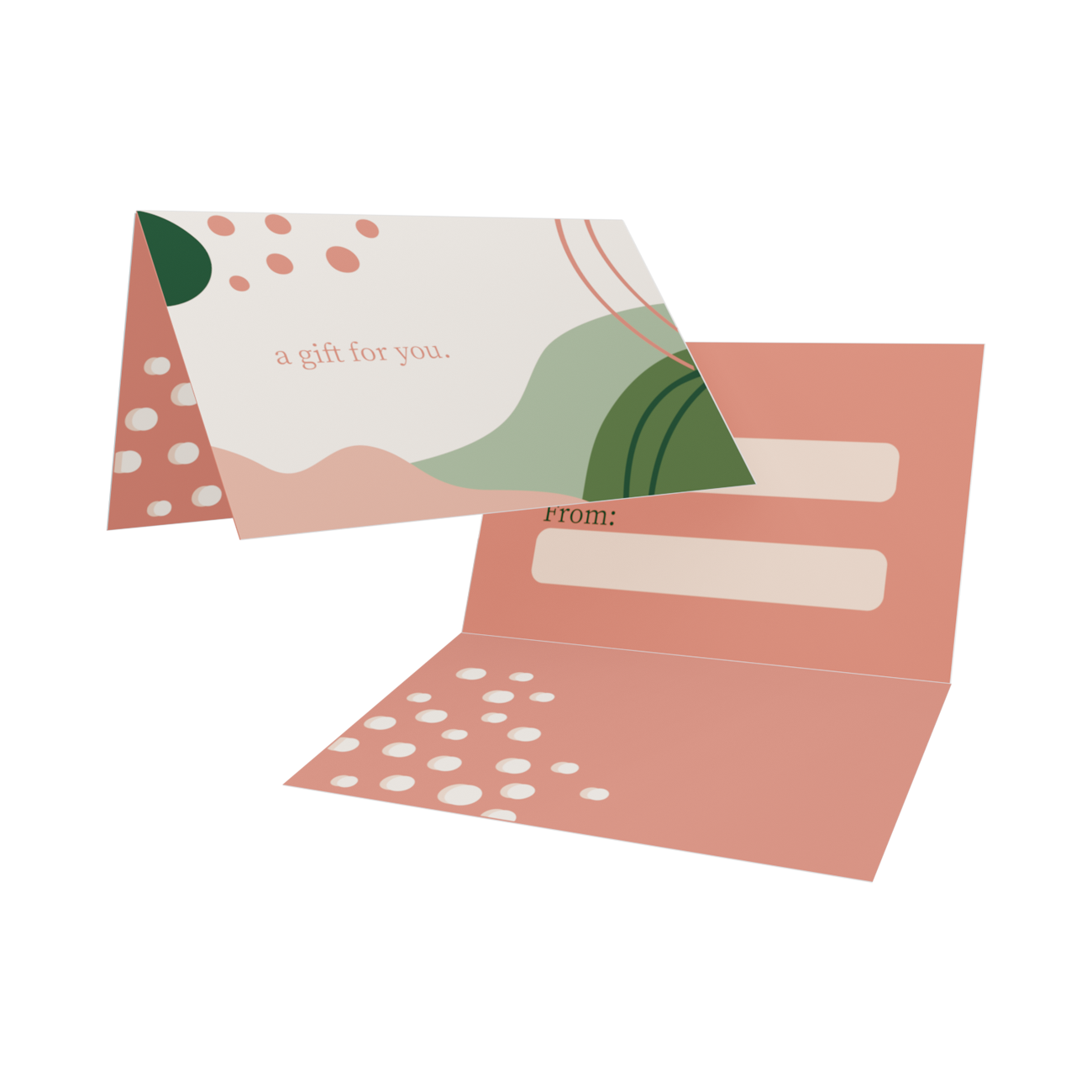 Gift Card Carriers